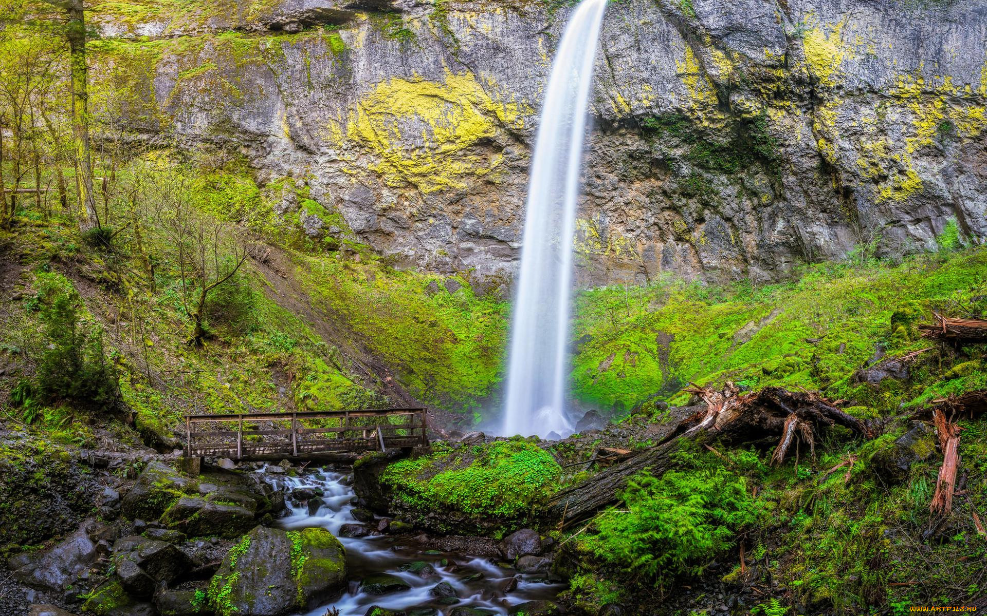 , , , upper, oneonta, waterfalls, , columbia, river, gorge